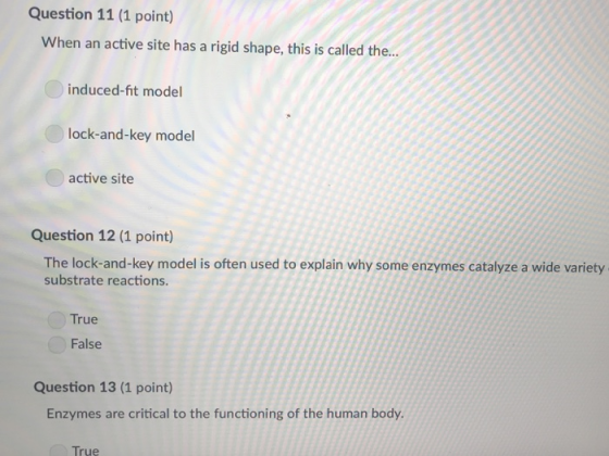 Question 11 (1 point) When an active site has a rigid shape, this is called the.. induced-fit mode lock-and-key model active