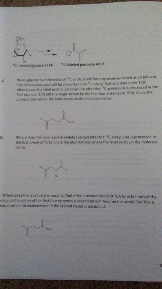 OH cr nC-labeled glucose at C6 13C-labeled pyruvate at C3 a) When glucose is enriched with C at C6, it will form pyruvate enr