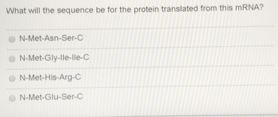 What will the sequence be for the protein translated from this mRNA? N-Met-Asn-Ser-C N-Met-Gly-lle-lle-C N-Met-His-Arg-C N-Me