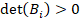 det(B;) > 0
