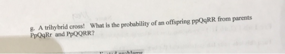 g. A trihybrid cross! What is the probability of an offspring ppQqRR from parents PpQqRr and PPQQRR? 1 arnhleme