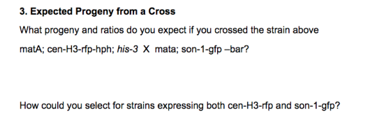 3. Expected Progeny from a Cross What progeny and ratios do you expect if you crossed the strain above matA; cen-H3-rfp-hph;