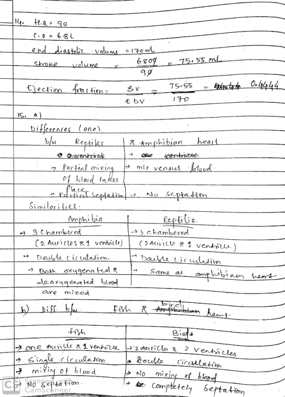 e h I7O one mixins mix venous of blod Amphi bia Chambere chambered ane mix-ed うく.inale c ír (ula.fion う mixng of blood a½oull