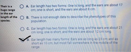 A. Ear length has two forms: One is long, and the ears are about 17 cm; one is short, and the ears are about 8 cm. Their is a