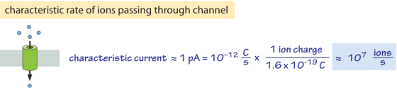 characteristic rate of ions passing through channel C 1 ion charge characteristic current 1 pA= 10-12 1.6x 1019「~ 107 10ns