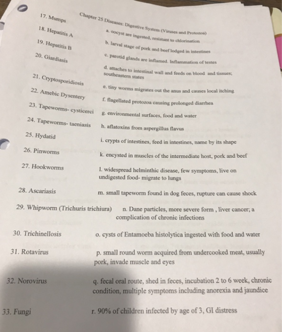 Chapter 25 Discases: Digestive System (Vinses aná Prot 17. Mumps 18. Hepatitis A 19. Hepatitis B 20. Giardiasis a. oocyst are