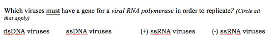 Which viruses must have a gene for a viral RNA polymerase in order to replicate? (Circle all that apply) (+) ssRNA viruses ds