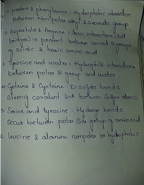 Bdween Non polas aK2 axomabc ou ate Asginine : Sonic imlesactions (& Aspautate p baidges)is pseent beuean ionized R ats acidi