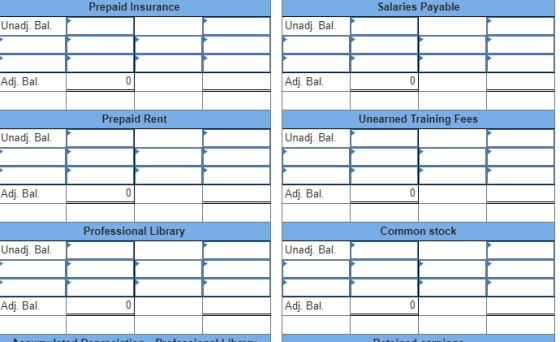 Salaries Payable Prepaid Insurance Unadj. Bal Unadj. Bal Adj. Bal 0 Adj. Bal 0 Unearned Training Fees Prepaid Rent Unadj. Bal