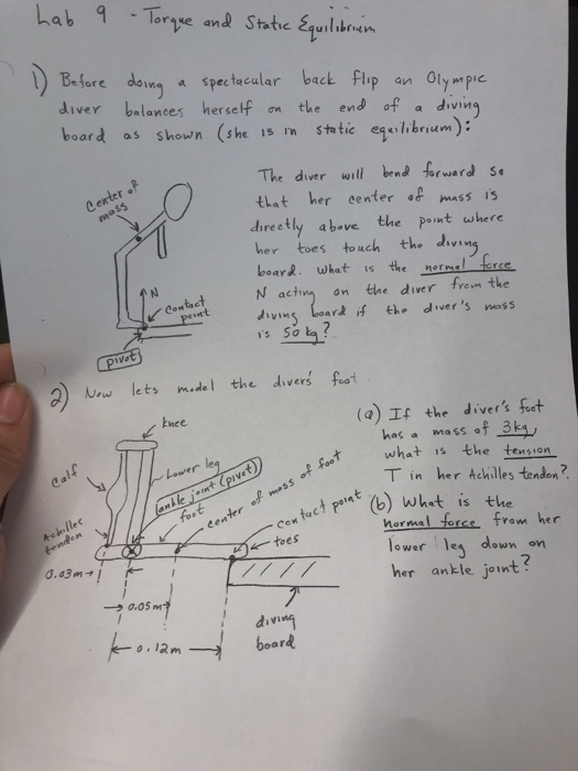 Lab 9 Tore and Statve Squilbon Bfore dSpec tacular baet flp an Olympic diver balances herself on the end of a diving board as