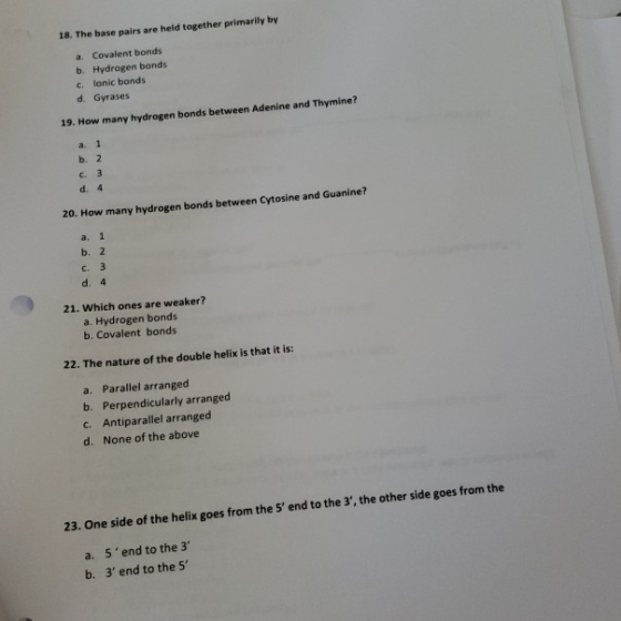 18. The base pairs are held together primarily by a. Covalent bonds b. Hydrogen bonds c. lonic bonds d. Gyrases 19. How many