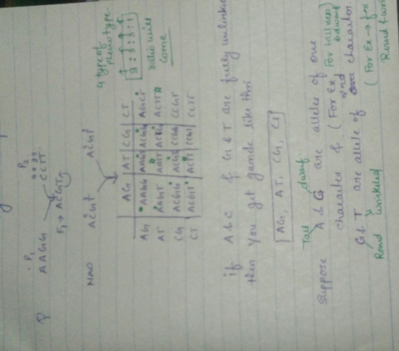 2. CCTT Come AG AT, C, Rond dniklad For Ex Rand fon