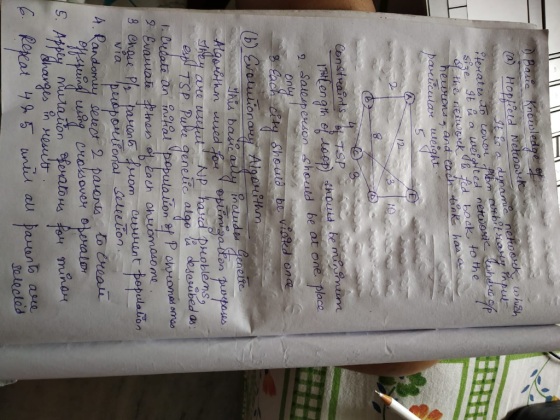 D Basic Knowledpe e (a) Hoppeetd Netiosck J lo a duname netoock wheh terates tD Lonor bm arbitrasly inpul SPe 9t & a u f the