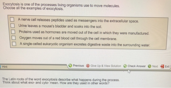 Exocytosis is one of the processes living organisms use to move molecules. Choose all the examples of exocytosis. □ □ A nerve