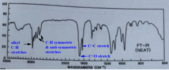 ww 40 C-H symmetric & anti-symmetric alkyl 20 FT-IR (NEAT) C-C stretch C-H stretches stretches C=O stretch 4000 1200 2000 M00