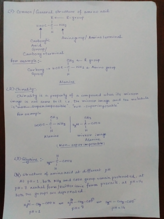 21Y Common /Greneral sto ucture of amu no ocid R R-9roup Aminogroup/ Anino terminal Cambonybic Acid Group/ Cambory 9terminal