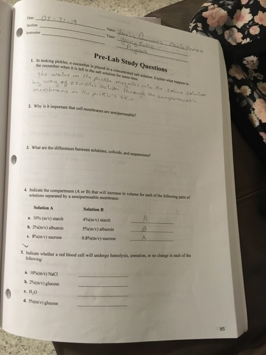 Tesm Pre-Lab Study Questions I. In 1 In making pickles, the cucumber making pick les, a cucumber is placed in when it is left