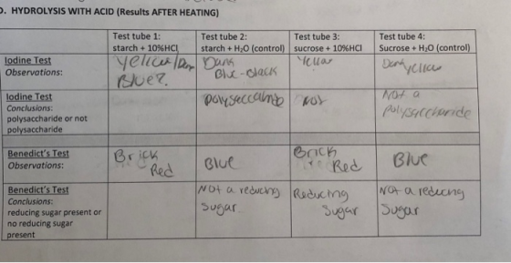 . HYDROLYSIS WITH ACID (Results AFTER HEATING) Test tube starch + 10%HCIstarch + H20 (control) sucrose+10%HCI Sucrose+ H20 (c