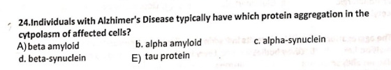 24.Individuals with Alzhimers Disease typically have which protein aggregation in the cytpolasm of affected cells? A) beta a