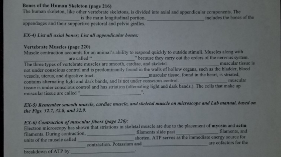 Bones of the Human Skeleton (page 216) The human skeleton, like other vertebrate skeletons, is divided into axial and appendi