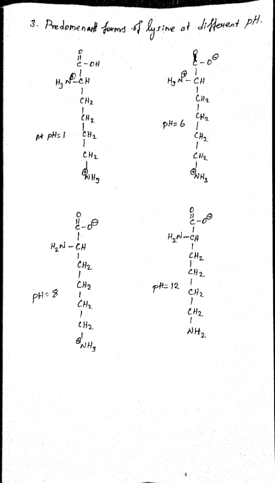 H. 2 2. 시시 3