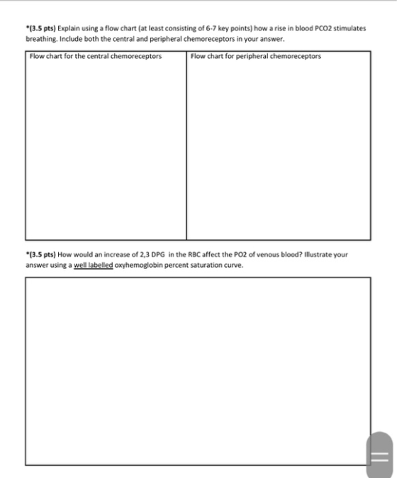 *(3.5 pts) Explain using a flow chart (at least consisting of 6-7 key points) how a rise in blood PCO2 stimulates breathing.