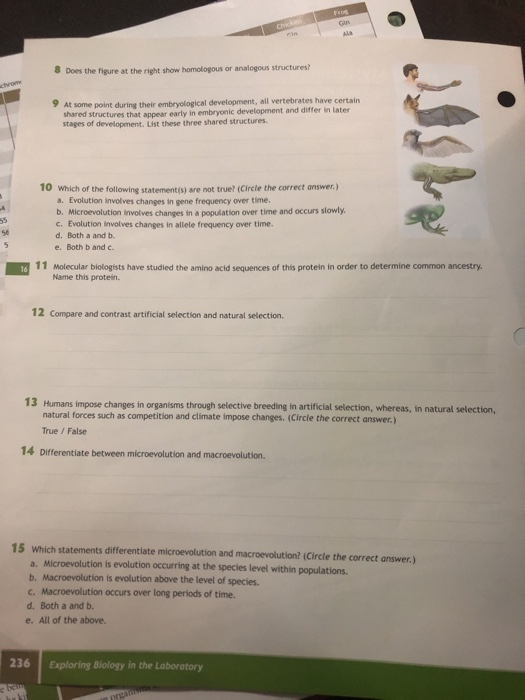 8 Does the figure at the right show homologous or analogous structures 9 At some point during their embryological development