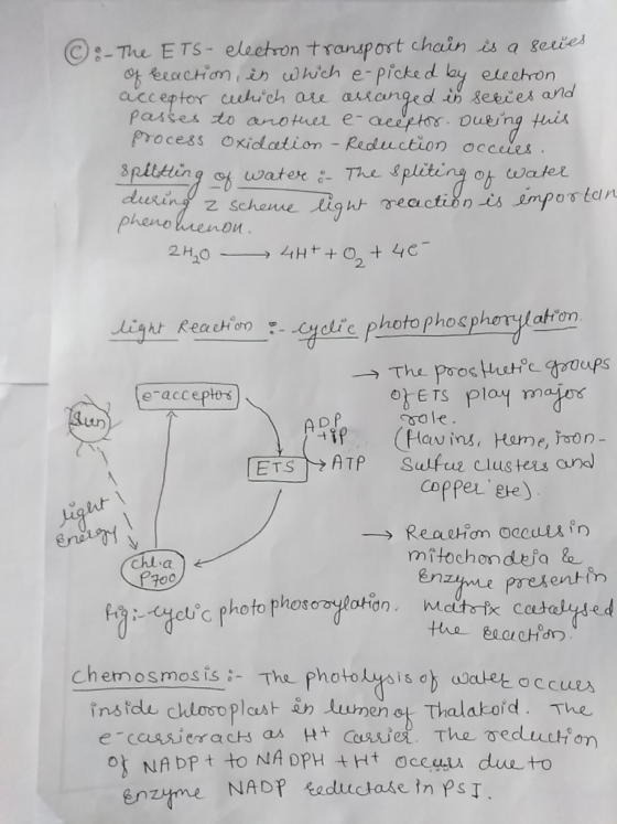 e-Tue ETS- electron-transport chain is a genes 야 eea c Hon, in u hich e-picked lay elechon acceptor culuch an arianged in 8e