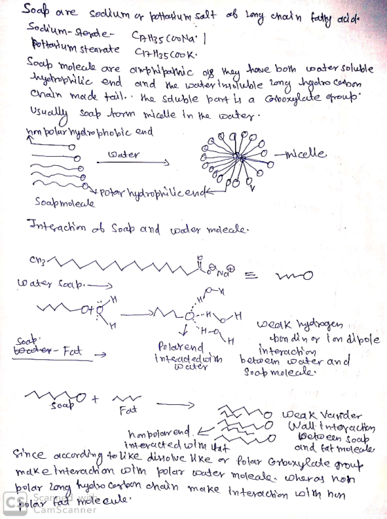 howe bo uoder Soluble _nd celle. Oeder Soalpmoleala Soap and tpdor de en YM Se ntscic ed btm and Fadt hm, polow end interacte