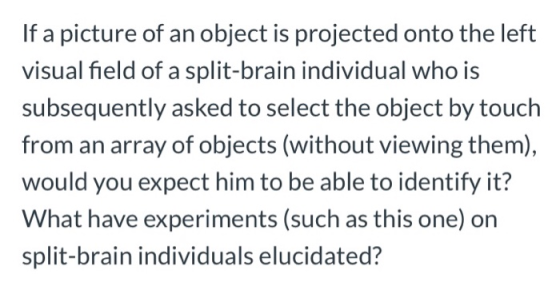 If a picture of an object is projected onto the left visual field of a split-brain individual who is subsequently asked to se