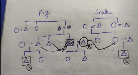 Pi Snake 3 3