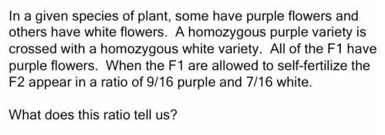 In a given species of plant, some have purple flowers and others have white flowers. A homozygous purple variety is crossed w