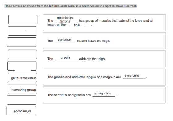 Place a word or phrase from the left into each blank in a sentence on the right to make it correct quadriceps femoris insert