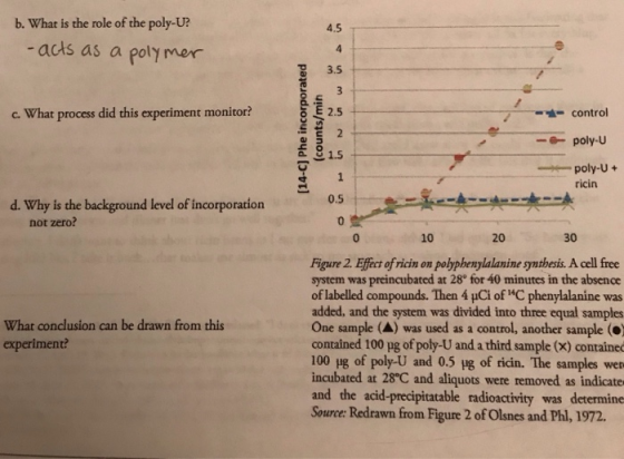 b. What is the role of the poly-U? 4.5 4 3.5 acs as a poly mer je E 2.5 c. What process did this experiment monitor? - contro