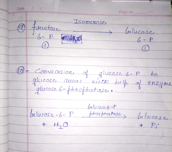 Date / Page no uuctose 0 lucase 6-P to lutoseb-P H20 土-.