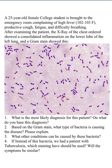 A 25-year-old female College student is brought to the emergency room complaining of high fever (102-103 F), productive cough