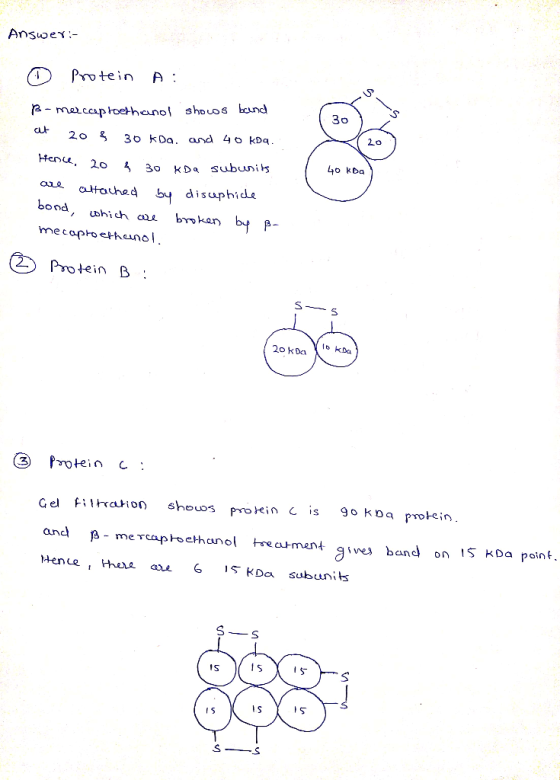 a macep ethanol shoos kcnd 2ος 30 kDa . and 40 kDq 4o kDa 20 5 3o KDa subunits aue alfahed disuphide bond, ohi Protein B : 3
