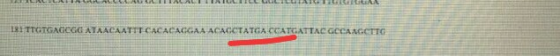 IRI TIOTGAGEGC ATAACAATTE CACACAGCAA ACACCTATCA SCATEATTAE GCCAAGETTO