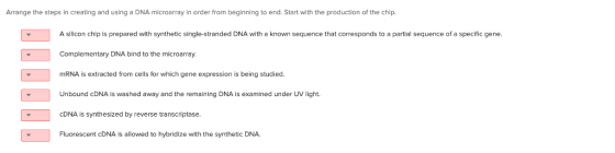 Arrange the steps in creating and using a DNA microarray in order from beginning to end. Start with the production of the chi