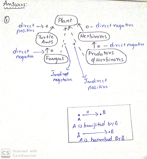 AwλωvS . Plant divict nuga tive aίνtt positive Herbivores Turtle Amts To Prida tovs d Hevbivores divect nugatve wse: divect o