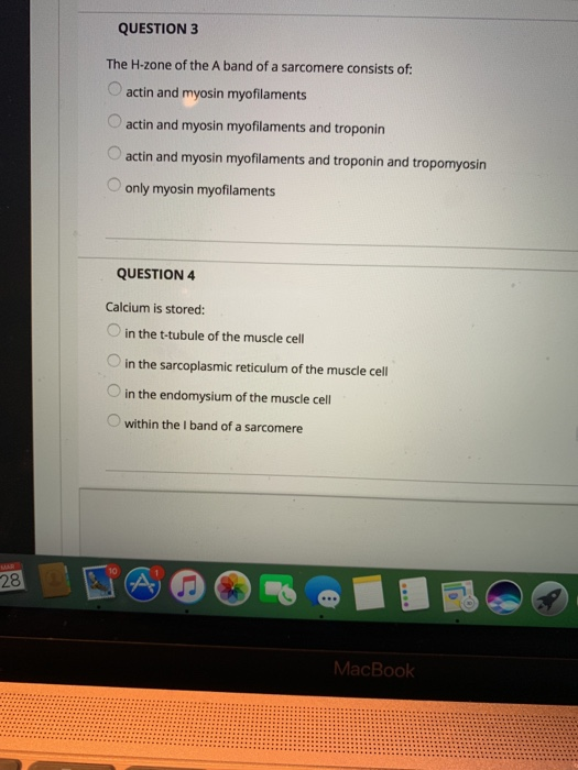 QUESTION 3 The H-zone of the A band of a sarcomere consists of: actin and myosin myofilaments actin and myosin myofilaments a