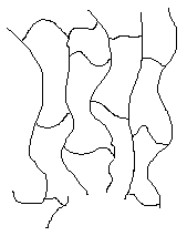 class06.gif