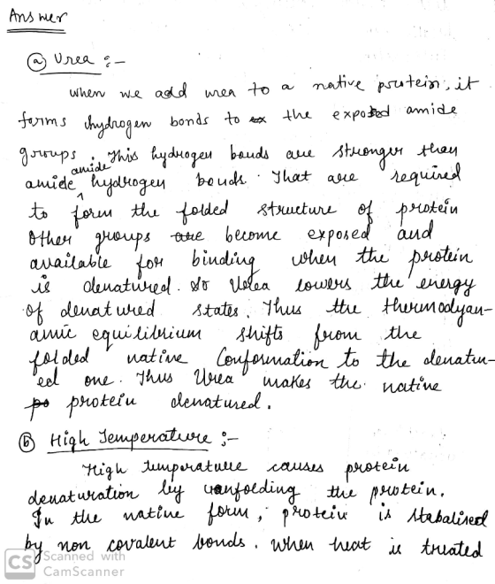 Ans ner Uea mative pstatein,i add when uen to We expotd amide the fms dyogw g-uирs : his hyduogen baude aue boudk requint stx