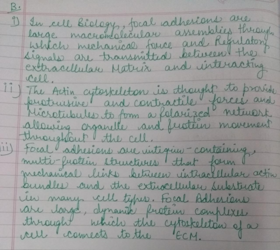 u cell Bielagy ucal adheriond aue asemblies thraup larige macroidalecular ahteh mahanicae force and Rafaulatony Ligmals are t