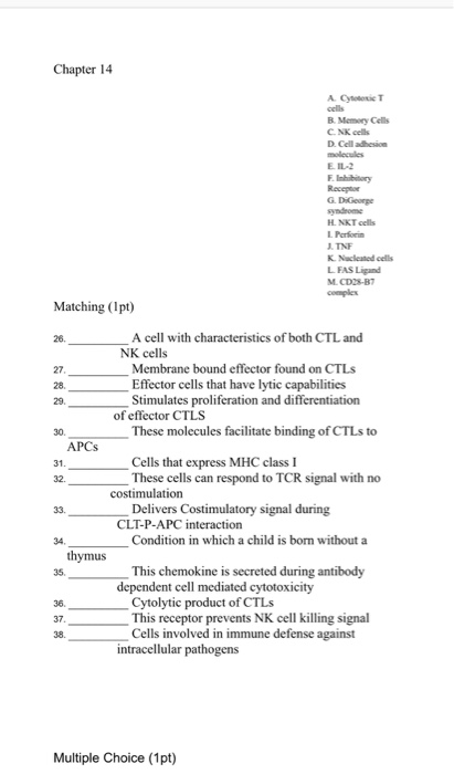 Chapter 14 B. Memery Cells C.NK cells D. Cell adhesicn E IL-2 G. DiGeorge H NKT cells TNF KNacleated cells L FAS Ligand M. CD