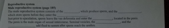 Reproductive system Male reproductive system (page 185) The male reproductive system consists of the which store sperm before