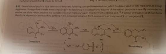mechanism predicts that 4b should be formed. may be nepiu to 61 Several natural products have been isolated from the flowerin