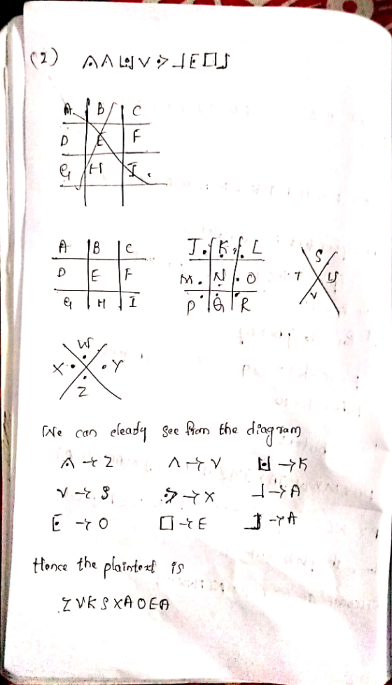 M.İN ple R VS X * 2 Ne can elea ee Rothe dTam Hunce the plant, tf