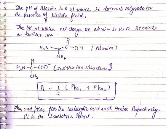 whe H e Alan ne is b at which. dt does not muqoderu 수 HC OH Alanine