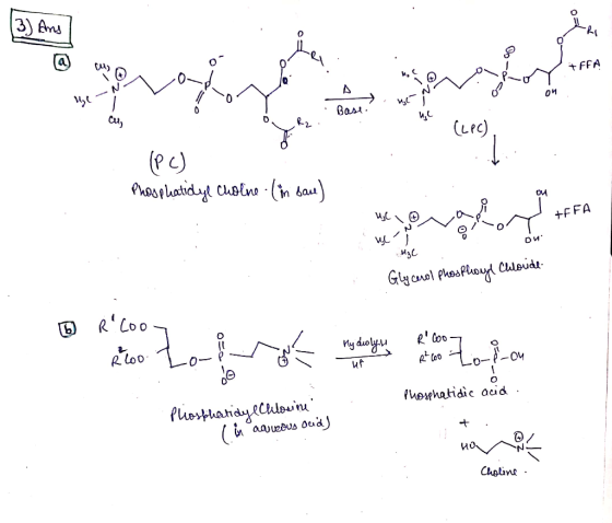3) Ans @ ひA) ( K,C 0M Cu AD (Lt) tec) +FFA MsC uf Phexhatidic acid Chotins